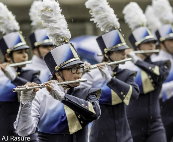 Virginia International Music Festival